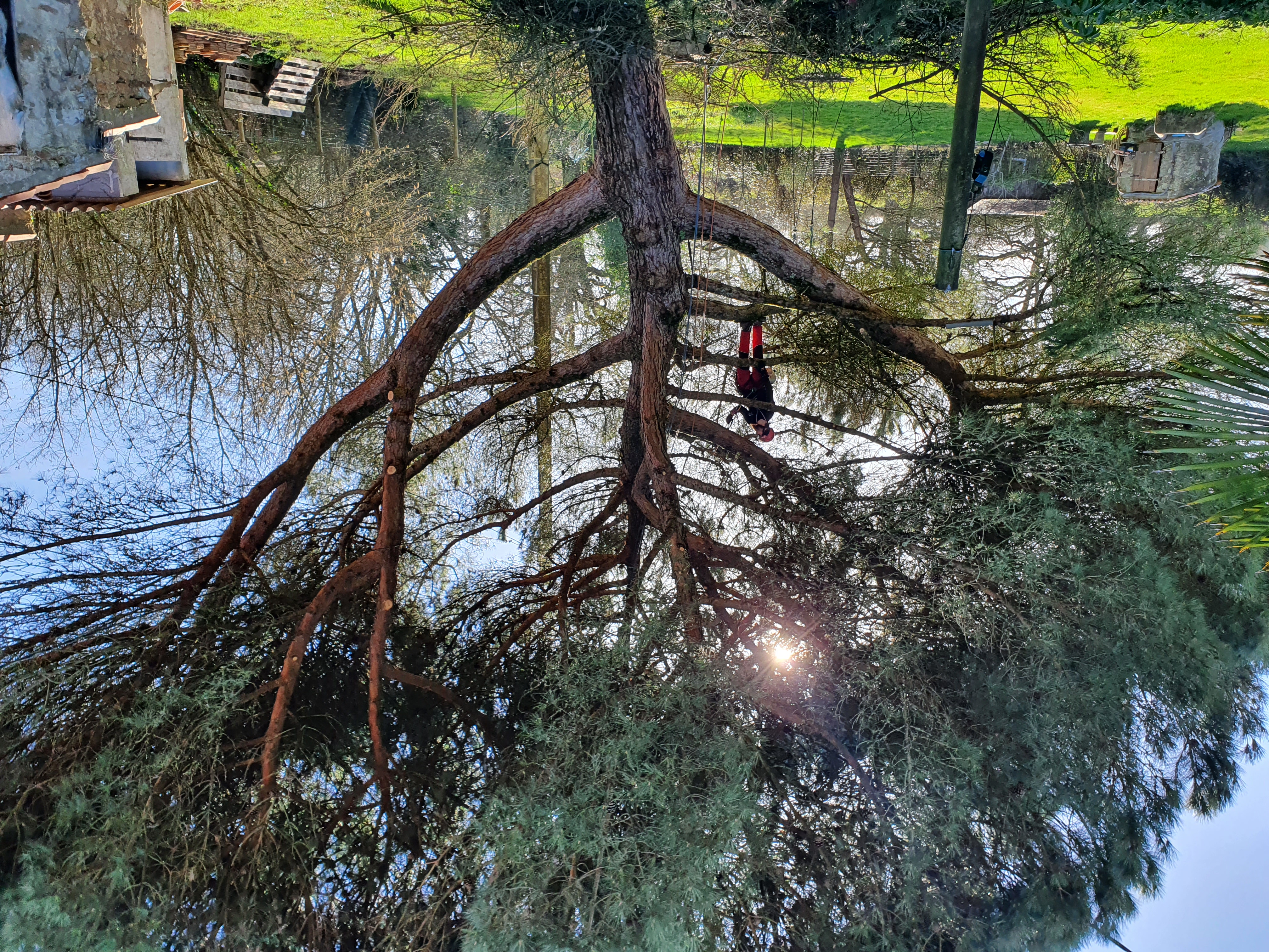 Elagueurs De Vendee ELAGAGE LES SABLES DOLONNE Taille 2