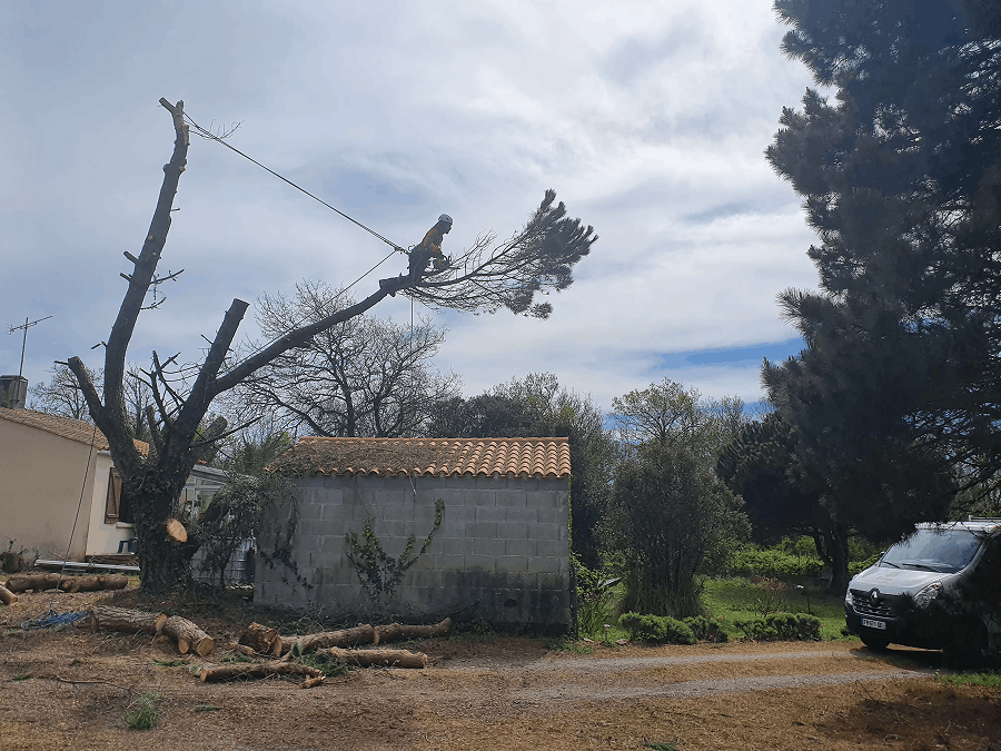 Elagueurs De Vendee ELAGAGE LES SABLES DOLONNE Elagueurs De Vendee ELAGAGE LES SABLES DOLONNE Demontage 2 1 1